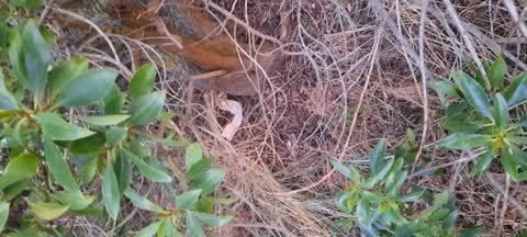 Parks, a report photo