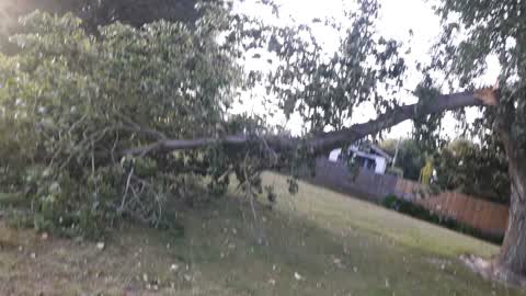 Parks, a report photo