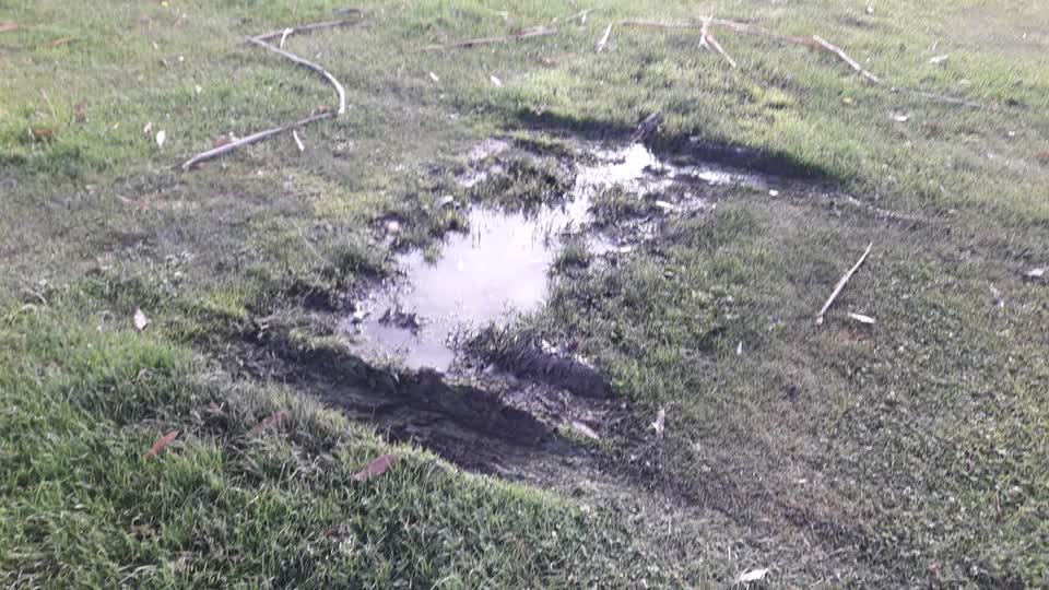 The photograph attached to this parks report
