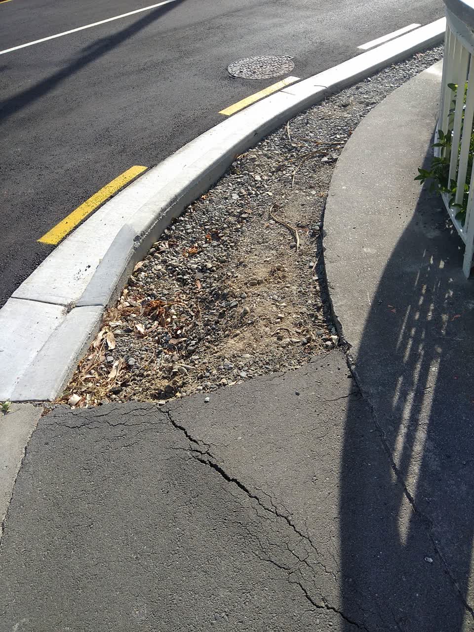 The photograph attached to this street light outage report