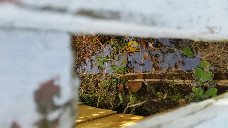 The photograph attached to this water leak report