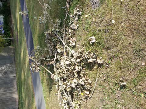 Rubbish/Recycling — a report photo