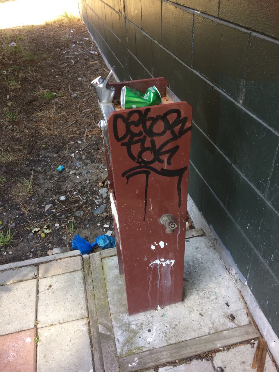The photograph attached to this graffiti report