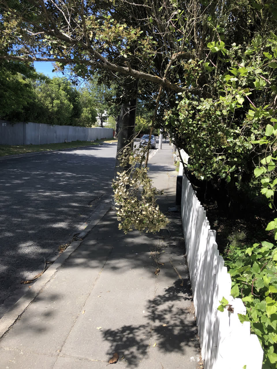 The photograph attached to this street light outage report