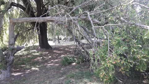 Parks, a report photo
