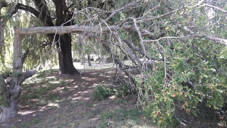The photograph attached to this parks report