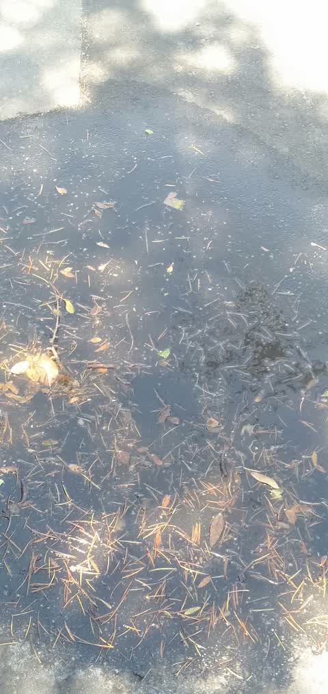 Water Leak, a report photo