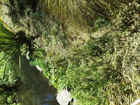 Wastewater/Stormwater, a report photo