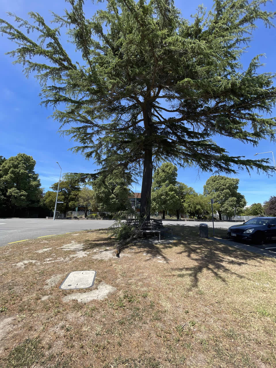 The photograph attached to this parks report