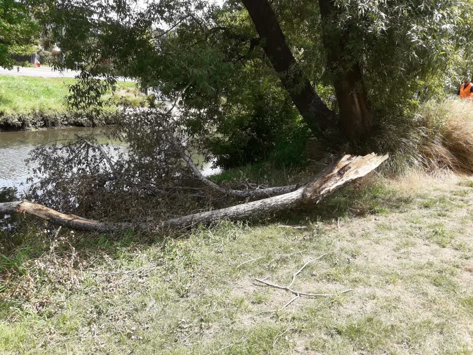 The photograph attached to this parks report