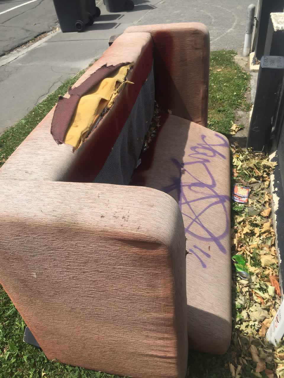 The photograph attached to this rubbish/recycling report