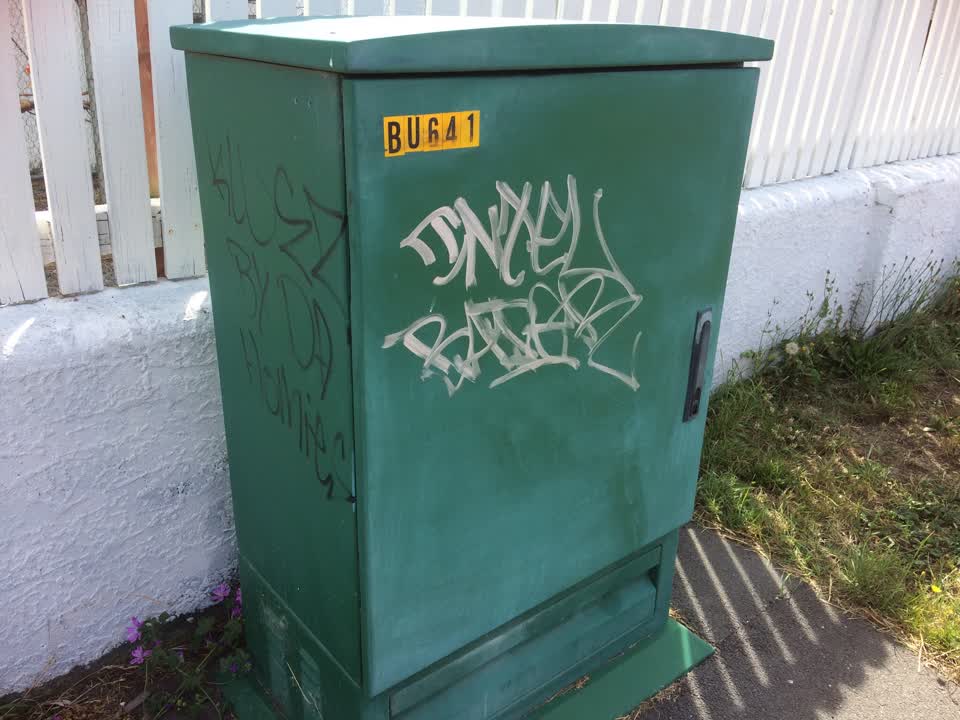 The photograph attached to this graffiti report