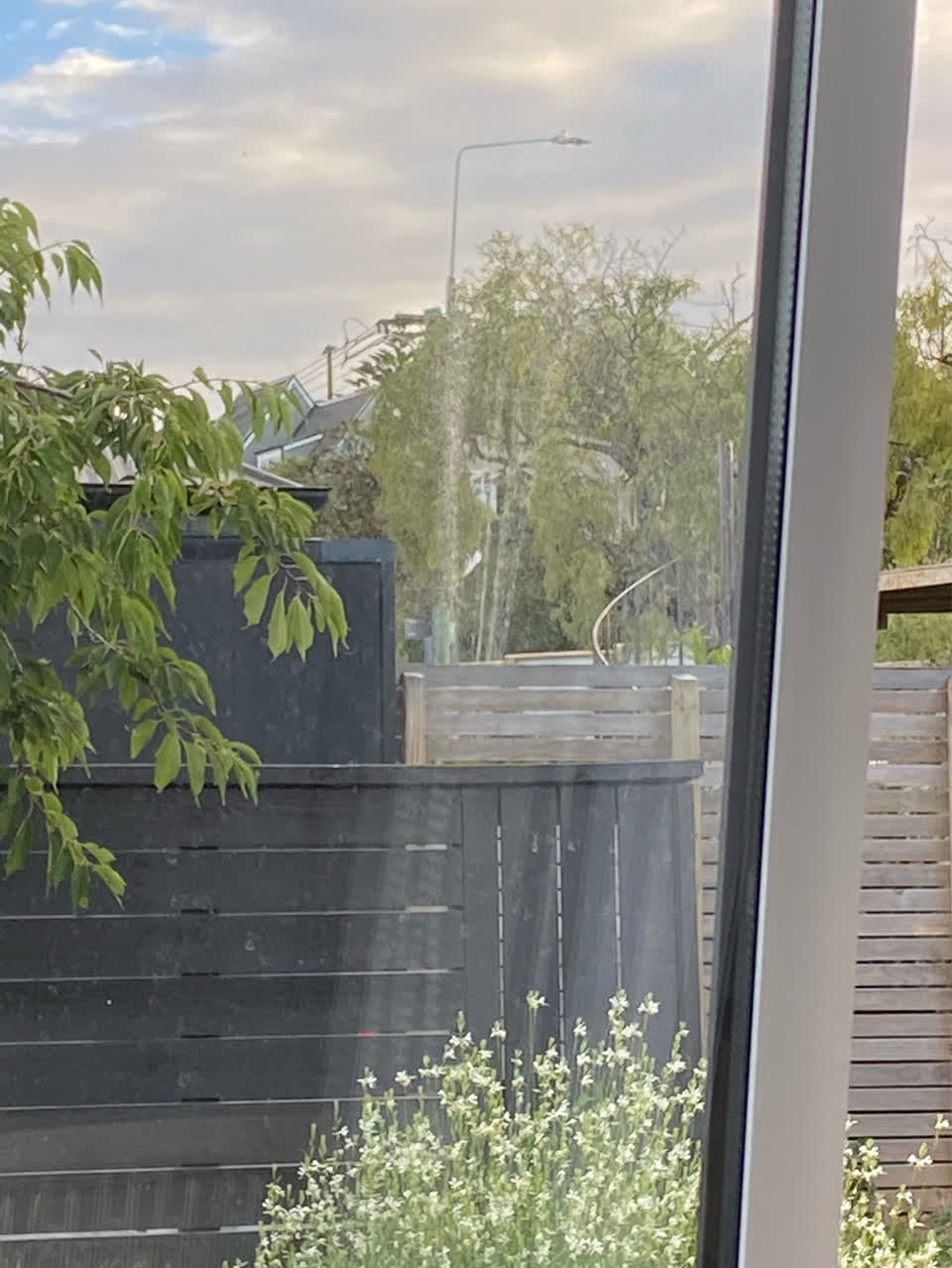 The photograph attached to this water leak report