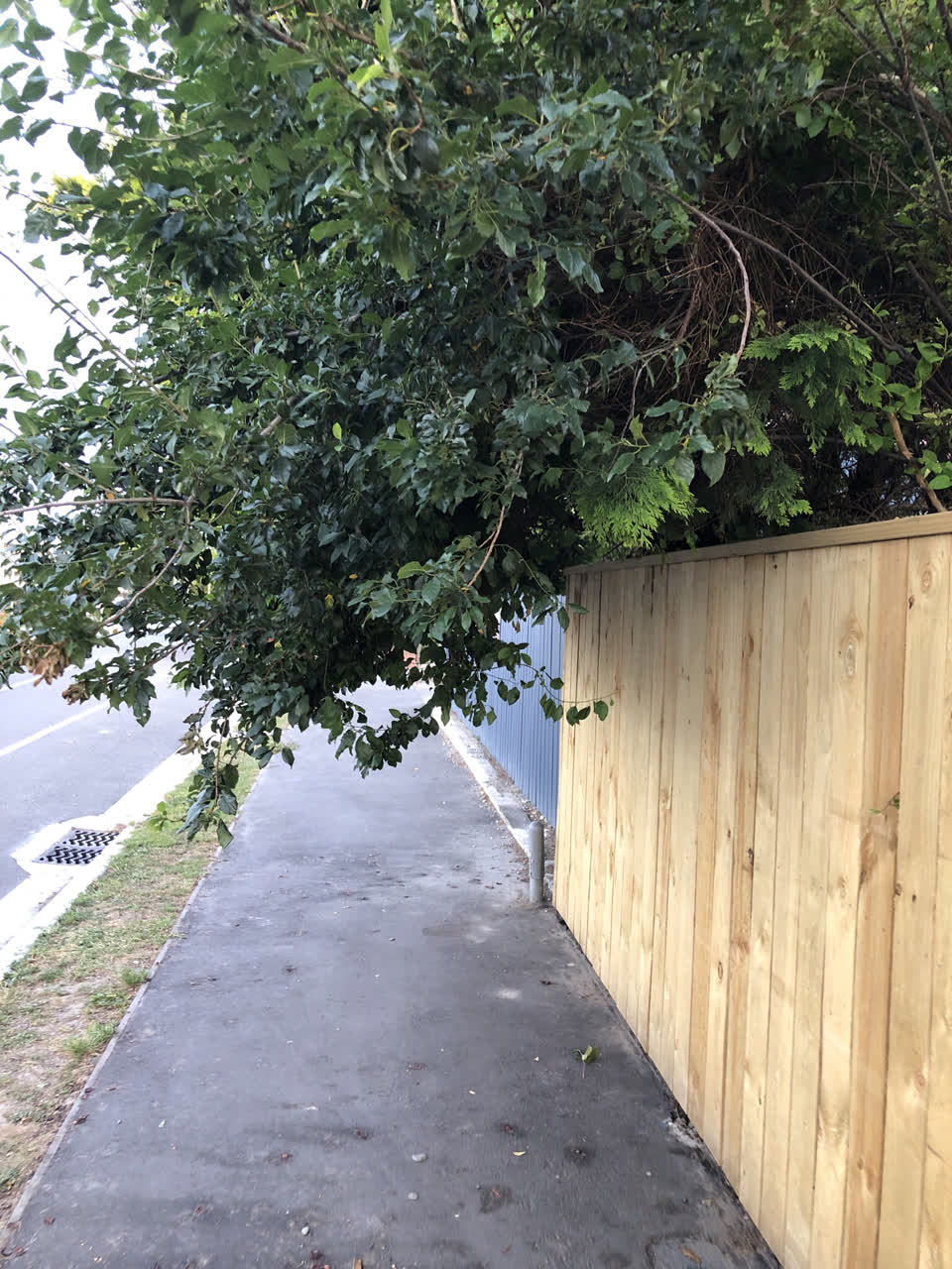 The photograph attached to this street light outage report