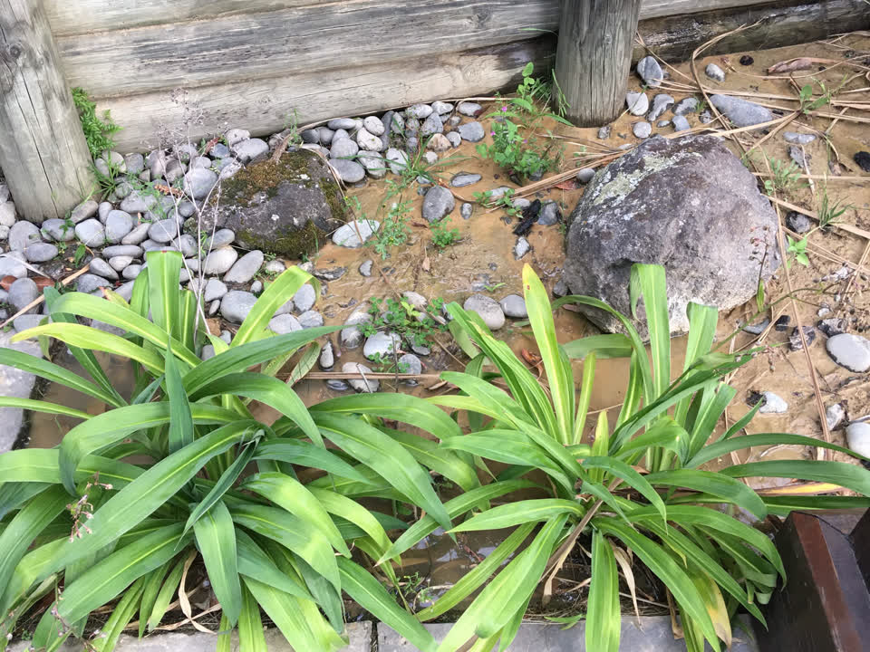 The photograph attached to this water leak report