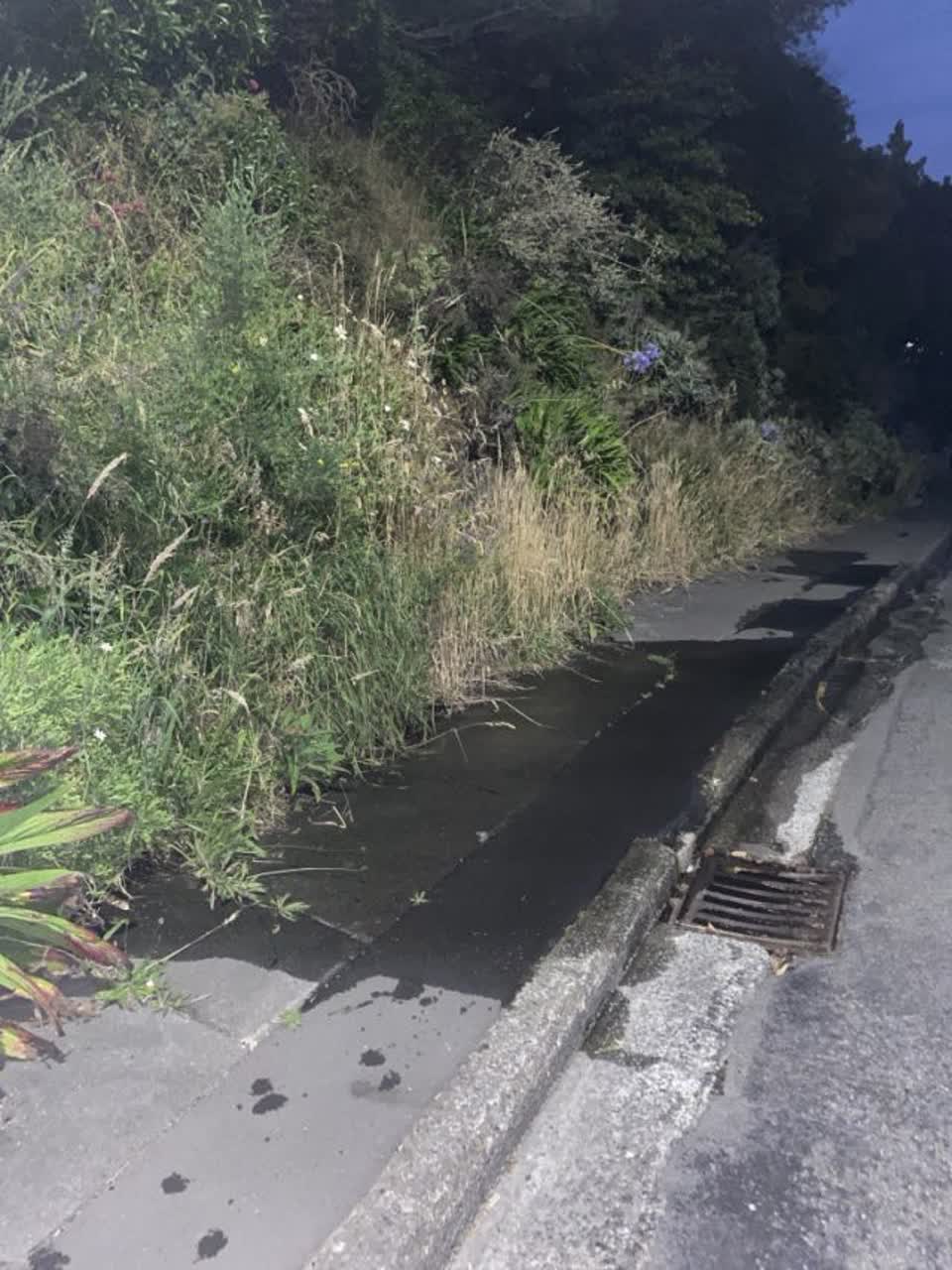 The photograph attached to this water leak report