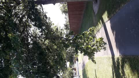 Parks, a report photo