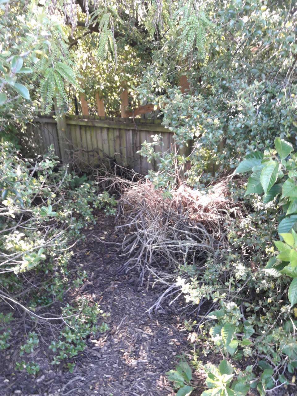 The photograph attached to this parks report