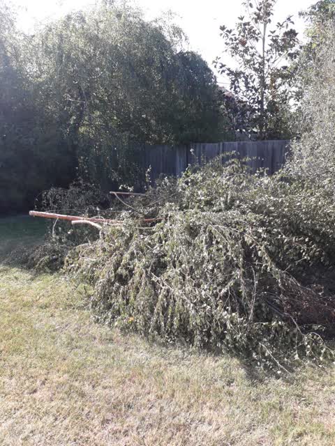 Parks, a report photo