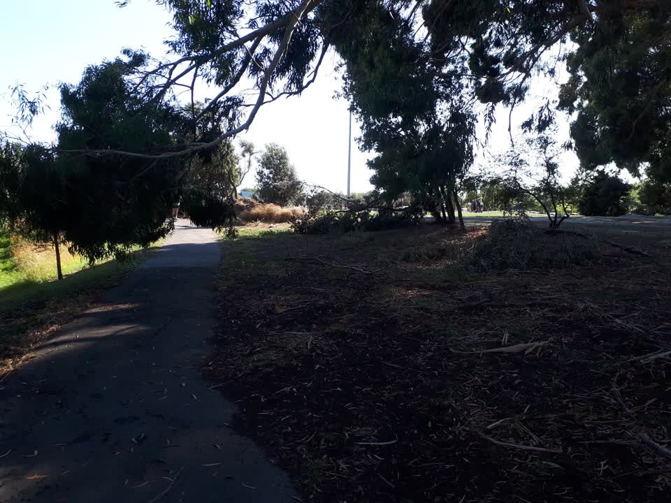 The photograph attached to this parks report