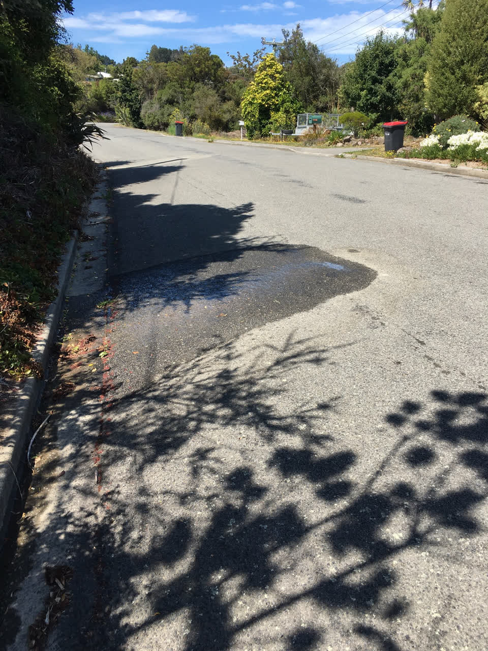 The photograph attached to this water leak report