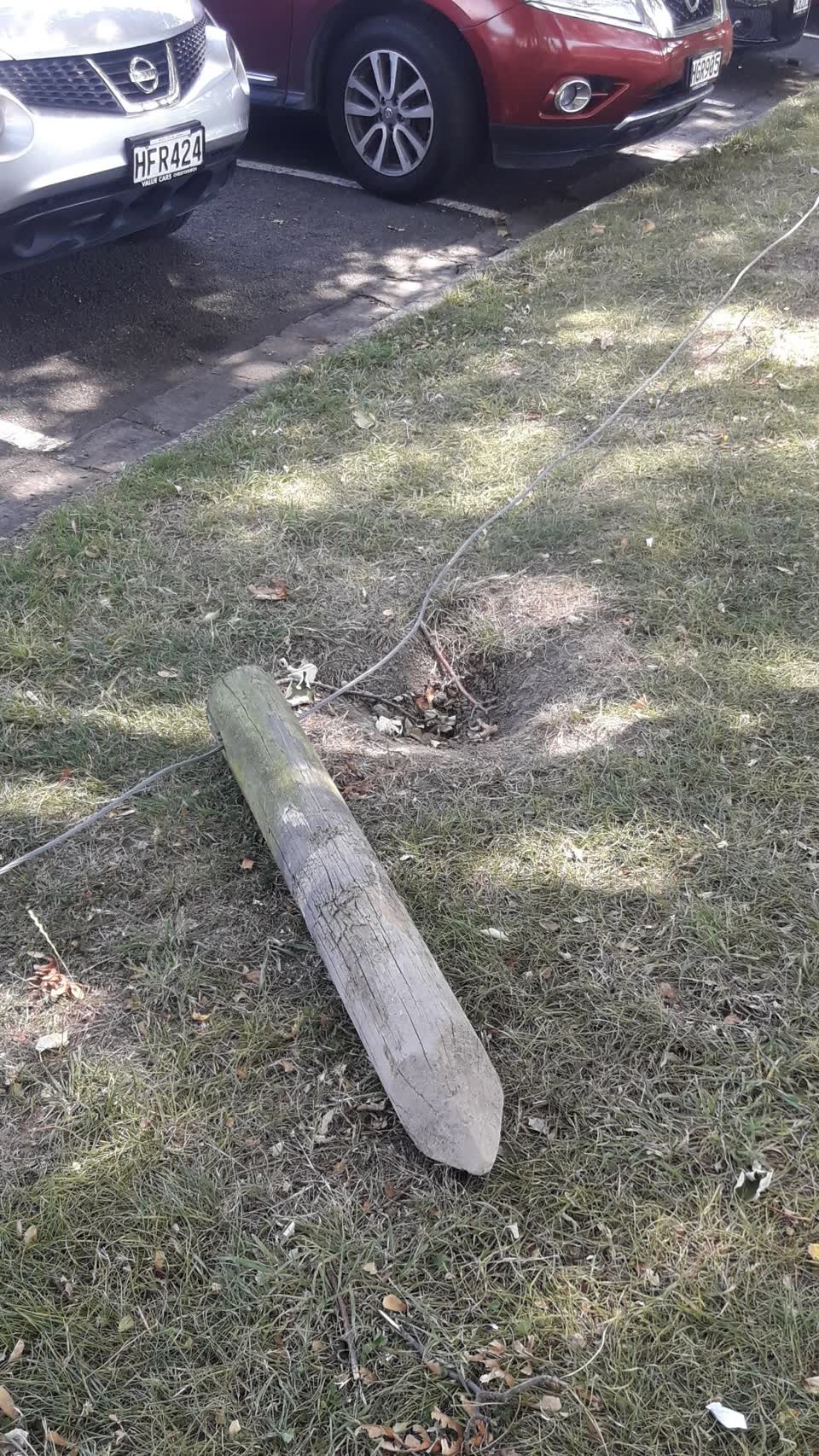 The photograph attached to this parks report