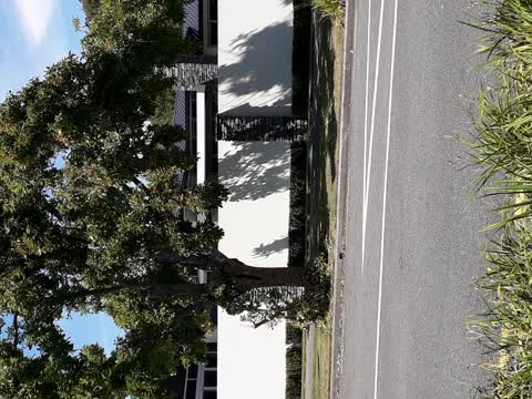 Parks, a report photo