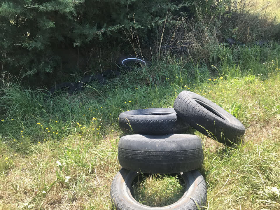 The photograph attached to this rubbish/recycling report