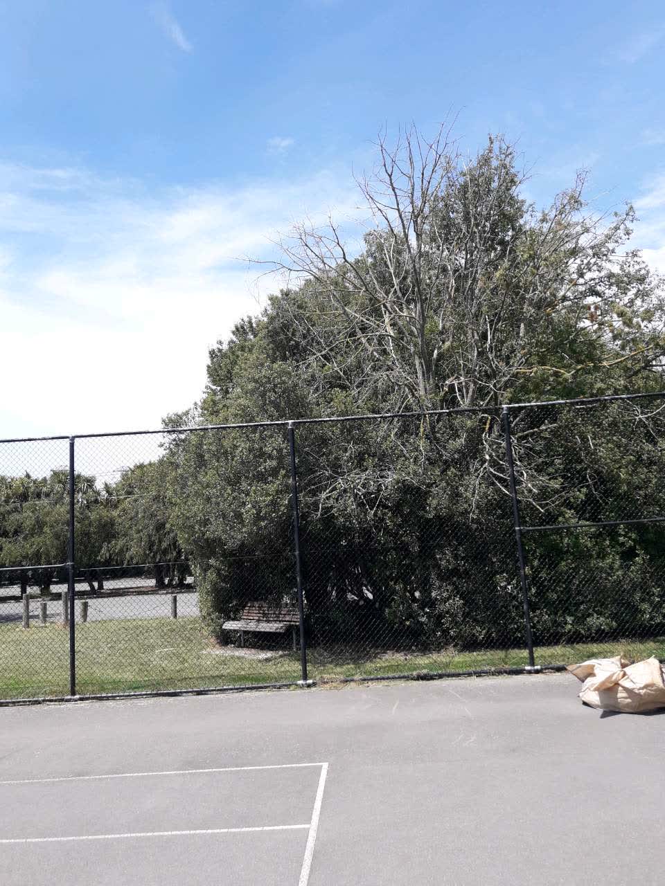 The photograph attached to this parks report