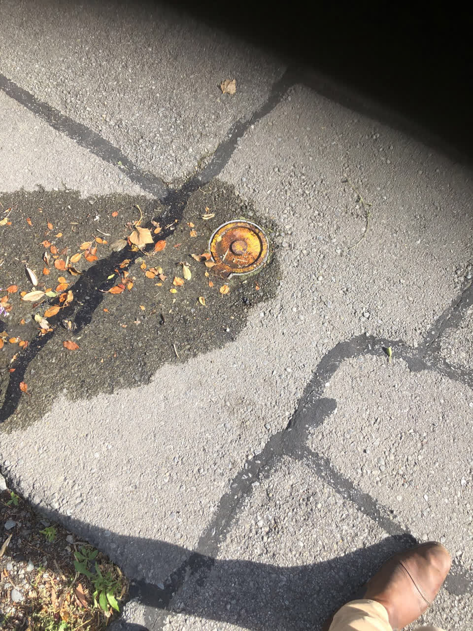 The photograph attached to this water leak report