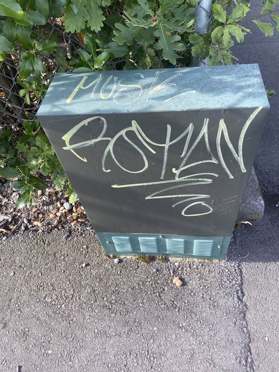 The photograph attached to this graffiti report