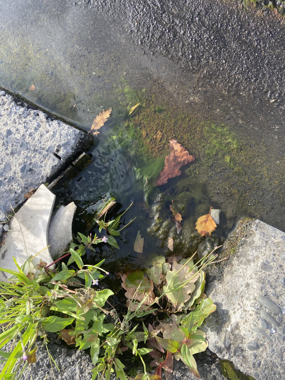 The photograph attached to this water leak report
