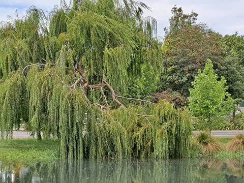 Parks, a report photo