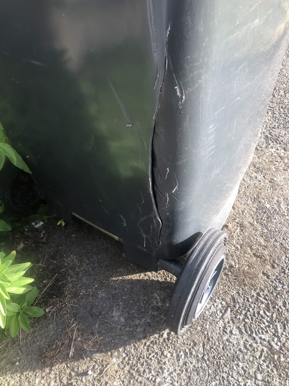The photograph attached to this rubbish/recycling report