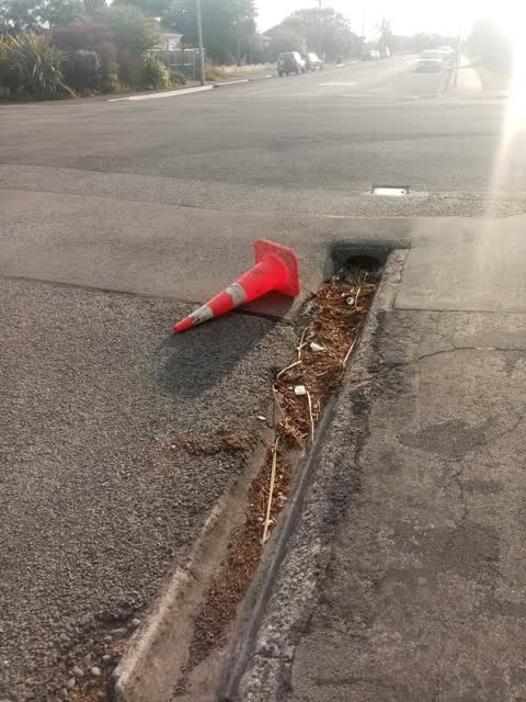 Roading/Streets, a report photo