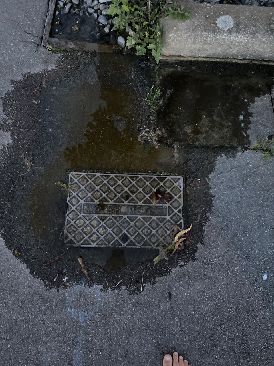 The photograph attached to this water leak report