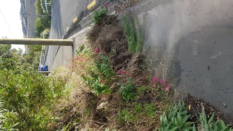 Water Leak, a report photo