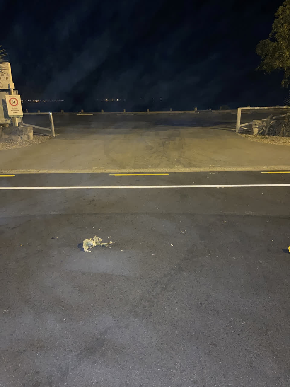 The photograph attached to this parks report