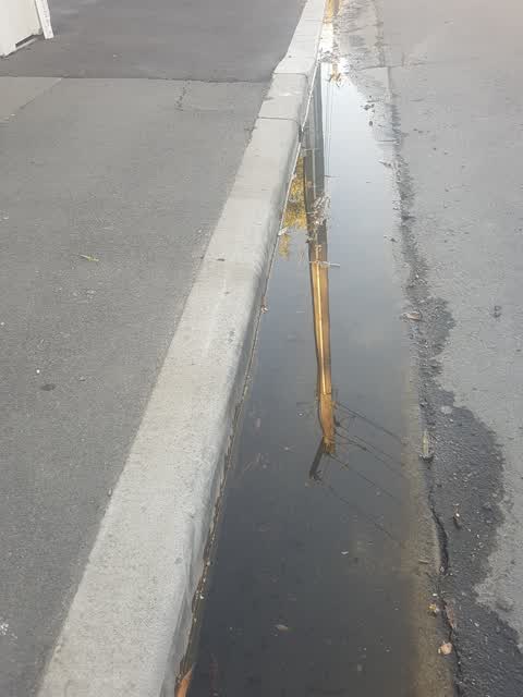 Water Leak, a report photo