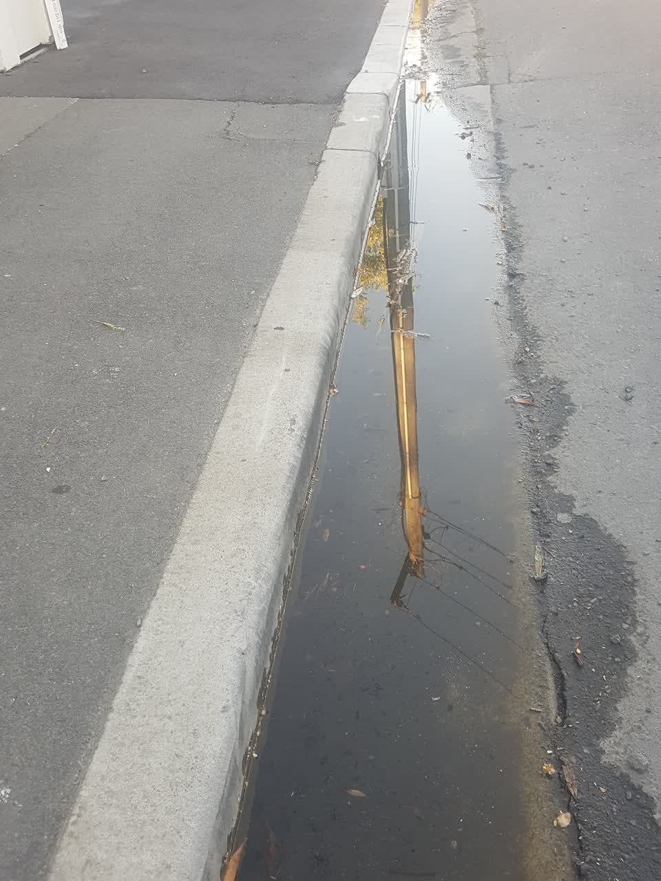 The photograph attached to this water leak report