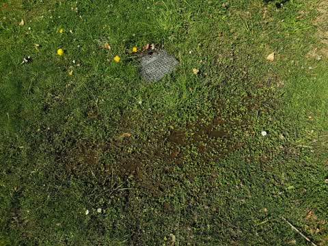 Wastewater/Stormwater, a report photo