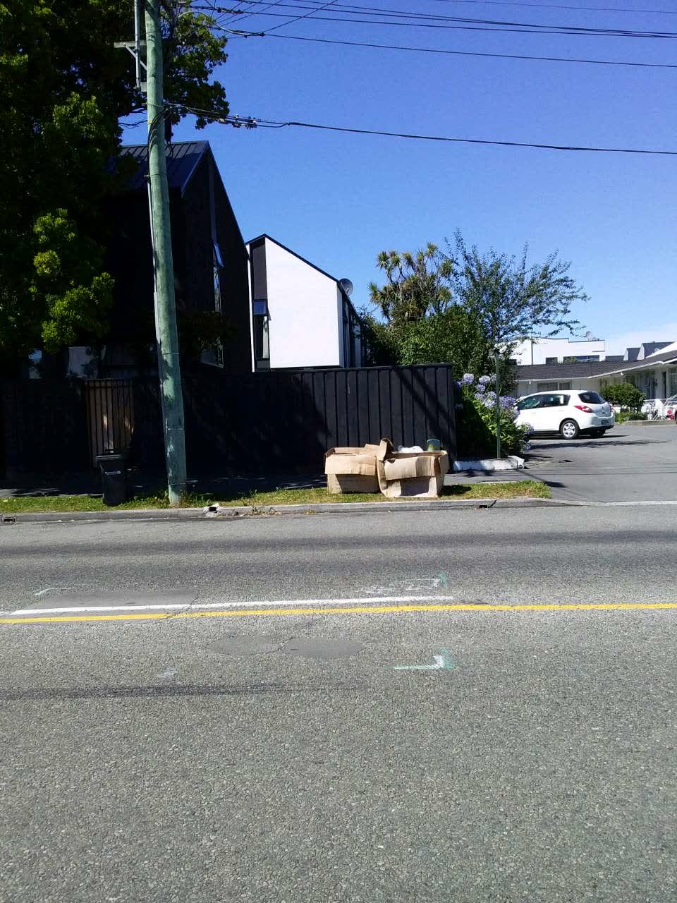 The photograph attached to this rubbish/recycling report