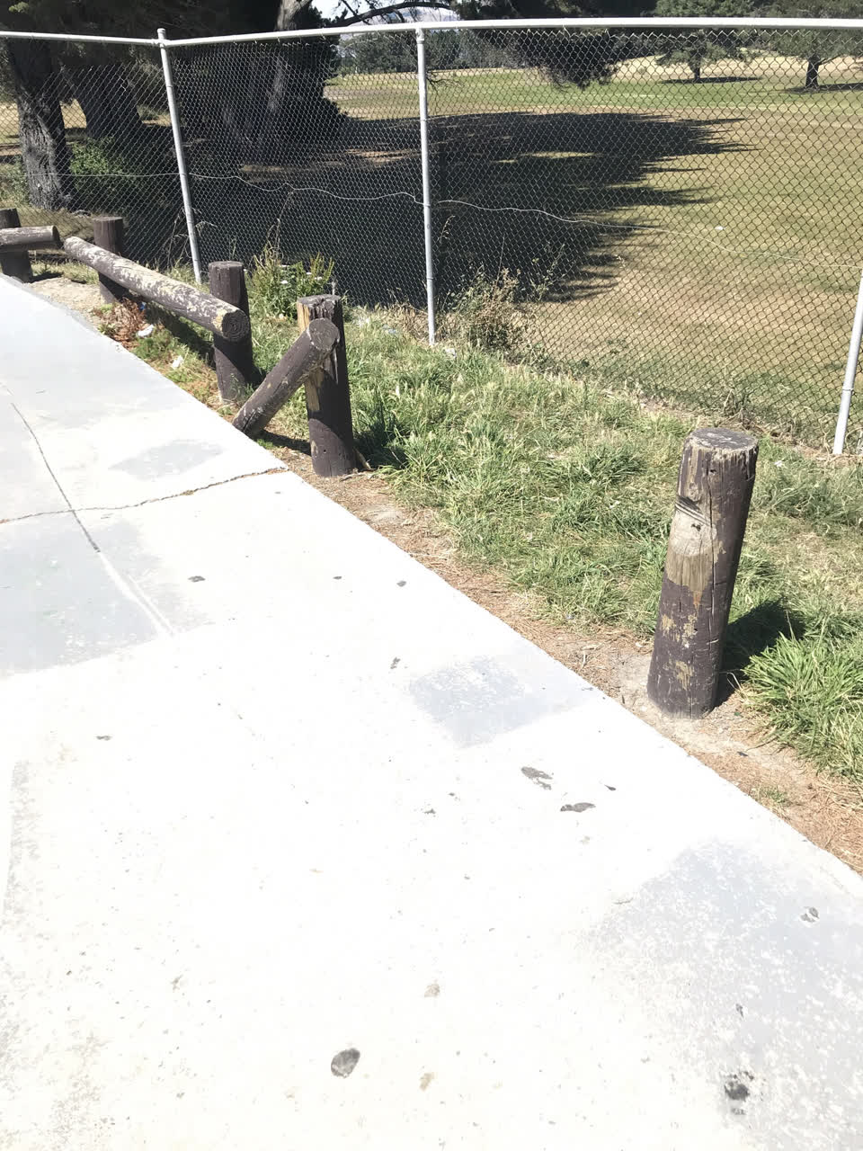 The photograph attached to this parks report