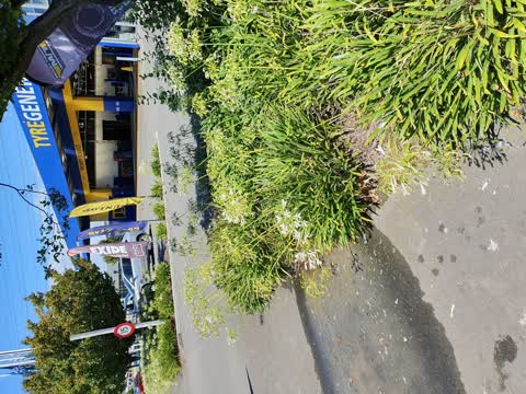 Water Leak, a report photo