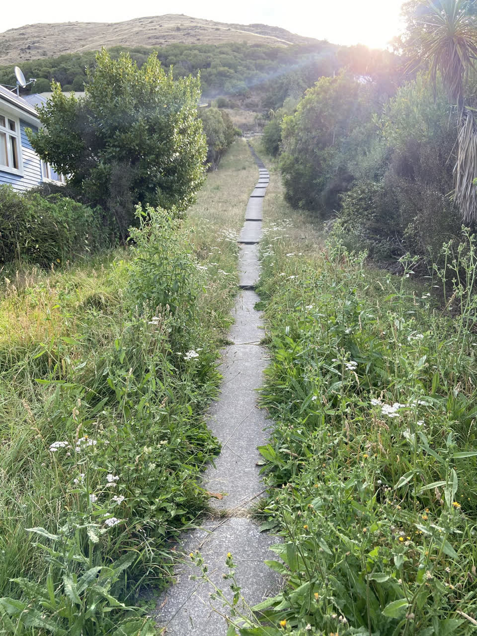 The photograph attached to this parks report