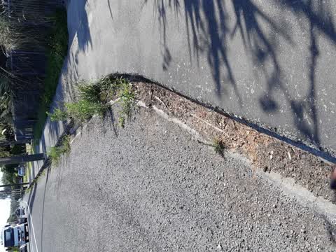 Street Light Outage, a report photo