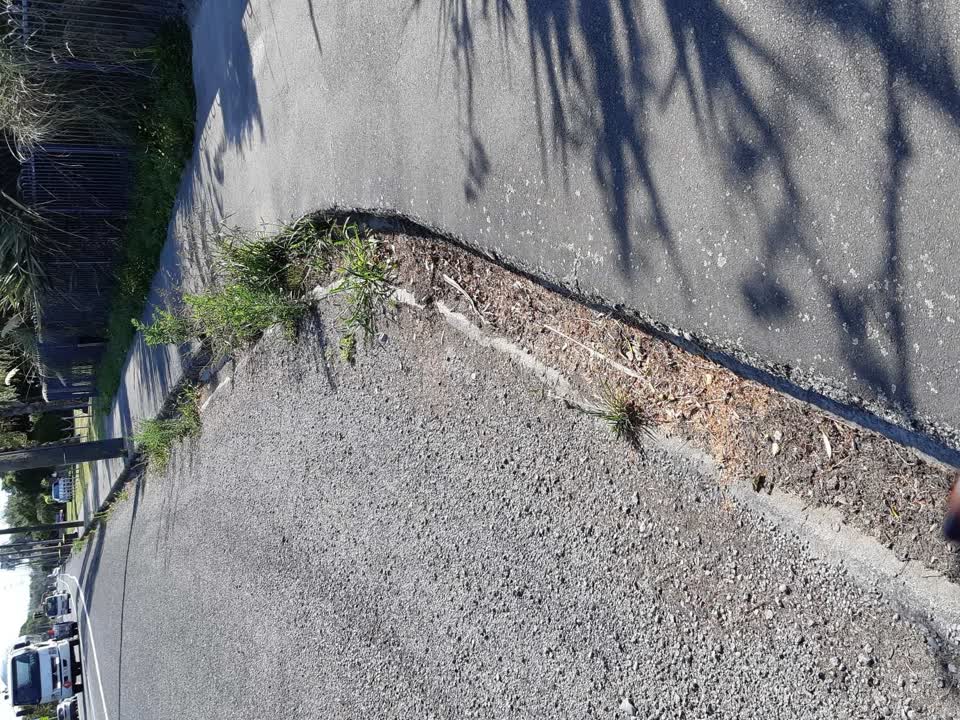 The photograph attached to this street light outage report