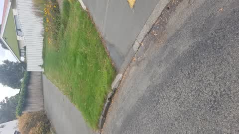 Water Leak, a report photo