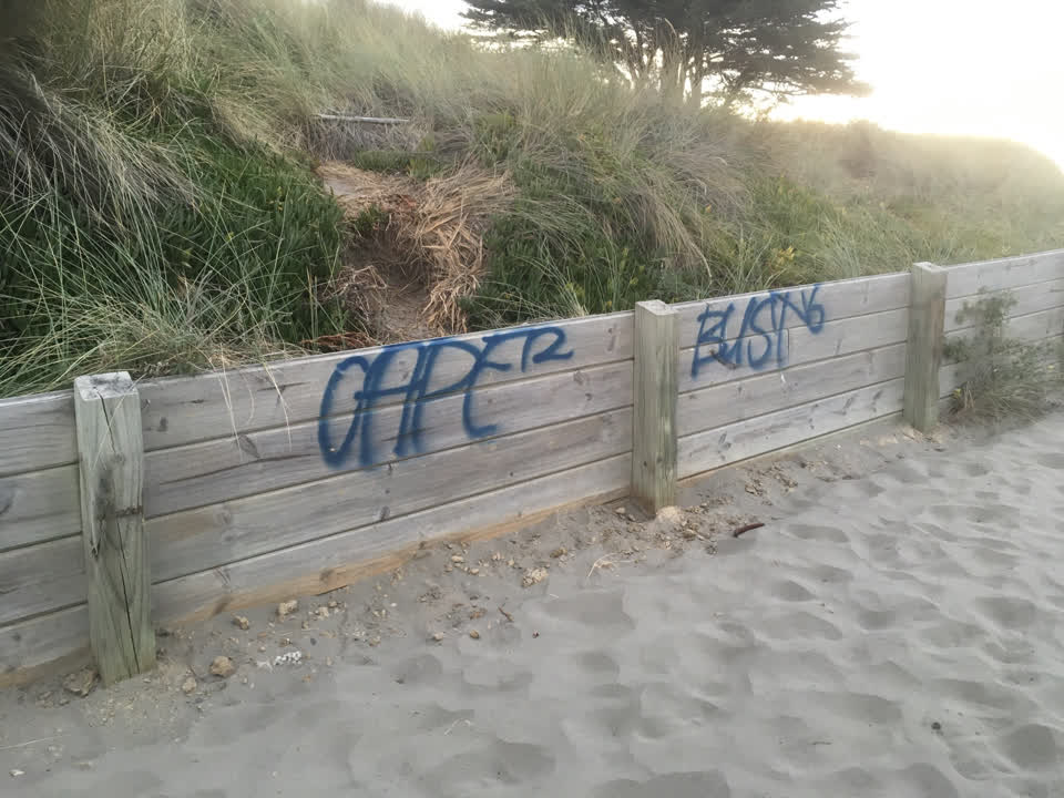 The photograph attached to this graffiti report