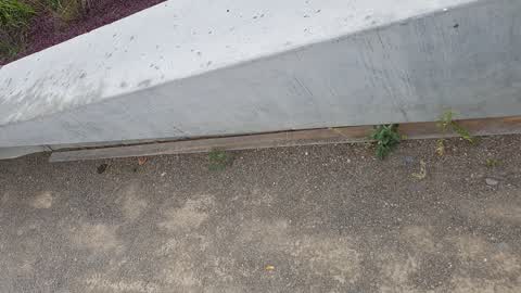 Parks, a report photo